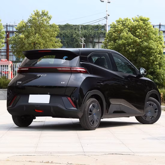 Хорошая цена в Китае, горный электромобиль, новые автомобили, мини-автомобиль Byd EV